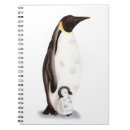 Search for cute penguin office school Back to school