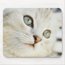 Search for two animals electronics White