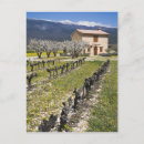Search for stone house postcards France