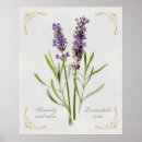 Search for language of flowers posters Vintage