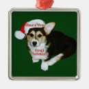Search for pup christmas tree decorations Pembroke