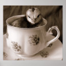 Search for bantam posters Poultry