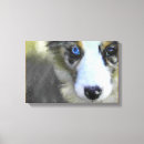 Search for australian canvas prints Australian shepherd dog