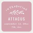 Search for announce stickers For her