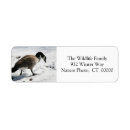 Search for wildlife animals return address labels Winter