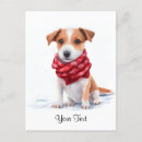 Search for jack russell puppies postcards Cute