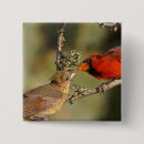 Search for animal mating accessories Bird