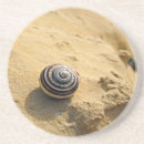 Search for snail shell Beach