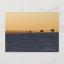 Search for absence postcards Outdoors