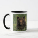 Search for arctos mugs Brown bear
