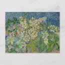 Search for chestnut postcards Blossom