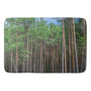 Search for forest trail Souvenir