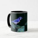 Search for blue jay bird mugs Birds