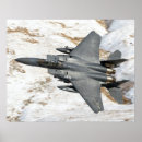 Search for f 15 posters Eagle