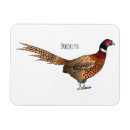 Search for neck magnets Bird