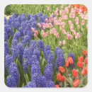 Search for lisse stickers Floral