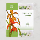 Search for spas flyers Business