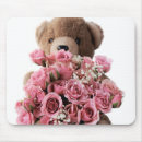 Search for stuffed electronics Bears