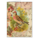 Search for linnet Bird