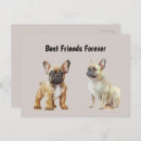 Search for dog friend postcards Dogs