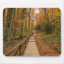 Search for autumn mouse mats Path