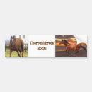 Search for thoroughbred bumper stickers Equine