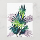 Search for frond postcards Coastal