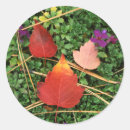 Search for large format stickers Fall