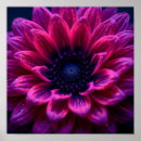 Search for fuchsia art Magenta