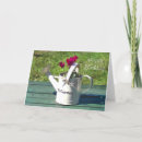 Search for cans cards Flowers
