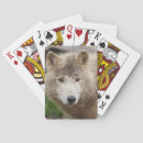 Search for white wolf playing cards Animal