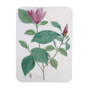 Search for redoute magnets Joseph
