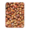 Search for chestnut magnets Food