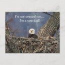 Search for bad day postcards Wildlife