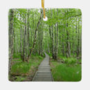 Search for path christmas tree decorations Trail