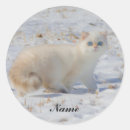 Search for cat with blue eyes stickers Feline