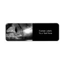 Search for poe return address labels Edgar allan poe