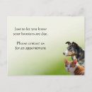 Search for vets postcards Veterinarian