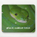 Search for coiled mouse mats Scales