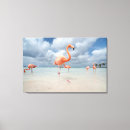 Search for aruba canvas prints Caribbean sea