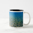 Search for water bear mugs Summer