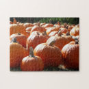 Search for halloween puzzles Pumpkin