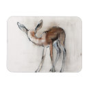 Search for antelopes magnets Wild animal