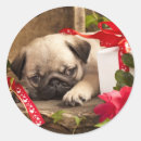 Search for birthday pug stickers Adorable