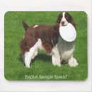 Search for english springer spaniel electronics Canine