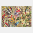 Search for cockatoo wrapping paper Jungle