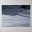 Search for animal tracks posters Mountain