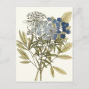Search for botanical study postcards Florals