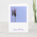 Search for lavendar cards Pretty