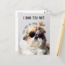Search for lap postcards Funny
